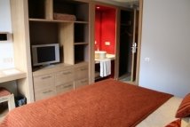 Standard double room